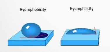 hydrophobicity hydrophilicity