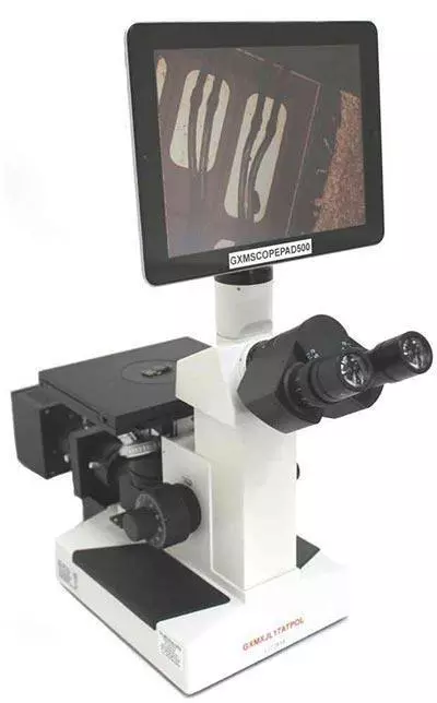 best inverted microscopes