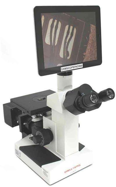 best inverted microscopes